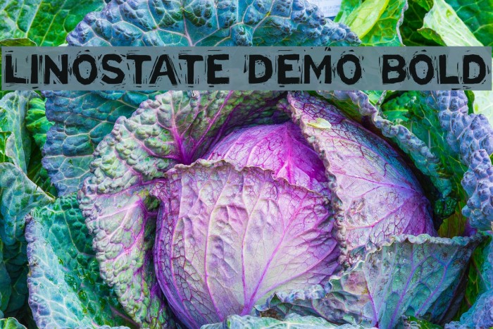 Linostate Demo Bold Example 1
