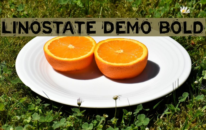 Linostate Demo Bold Example 2