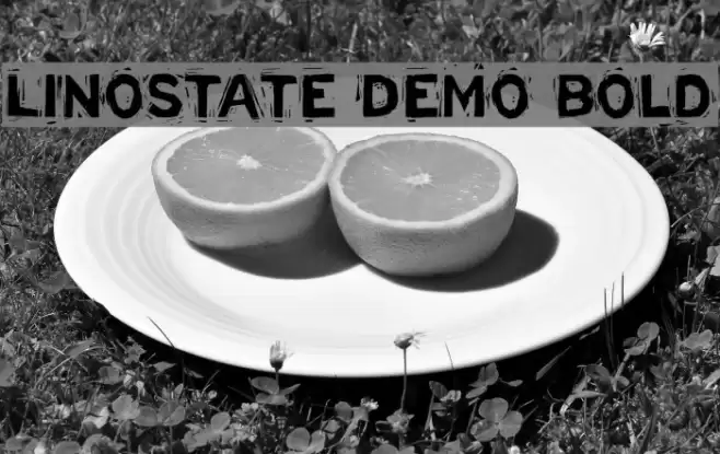 Linostate Demo Bold Font examples