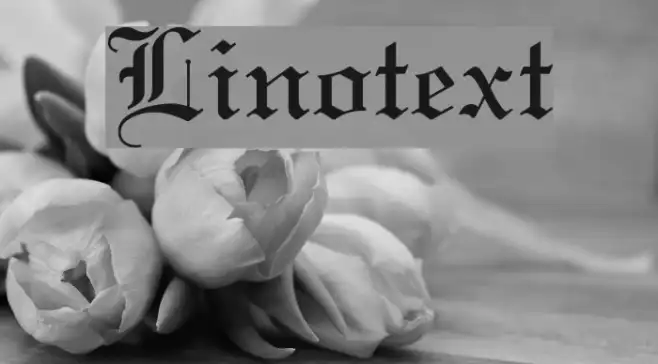 Linotext Example 1