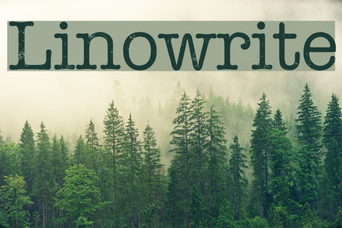 Linowrite Font examples