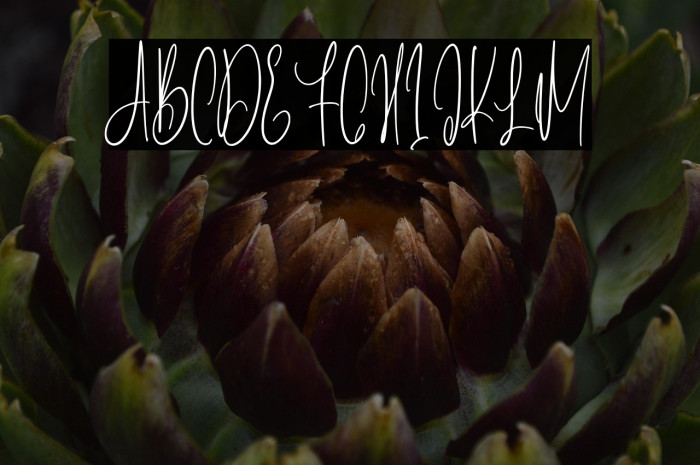 Lintang Kangen - Regular Example 1