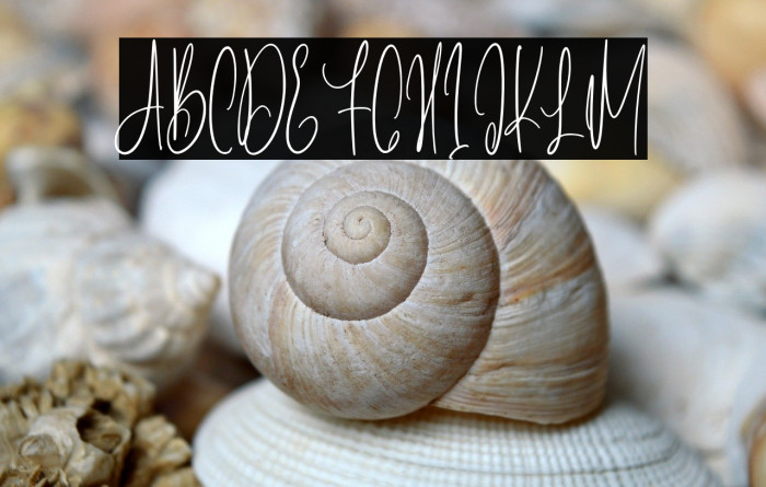 Lintang Kangen - Regular Example 2