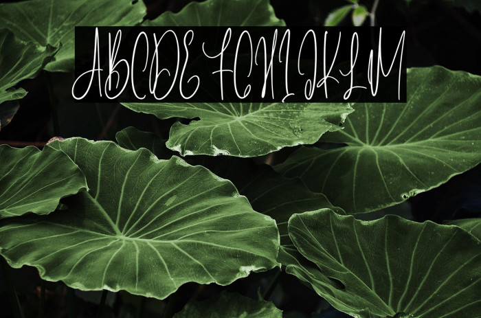 Lintang Kangen - Regular Example 3