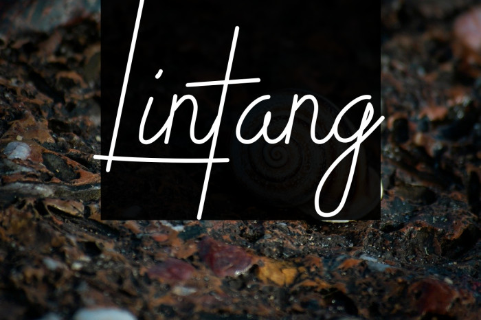 Lintang Example 3