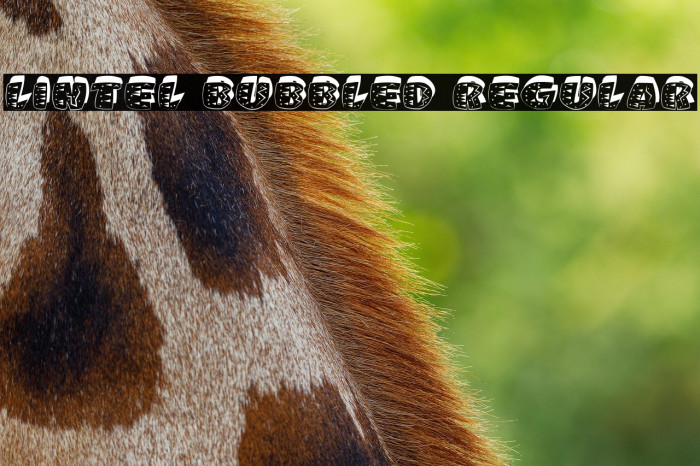 Lintel Bubbled Regular Example 1