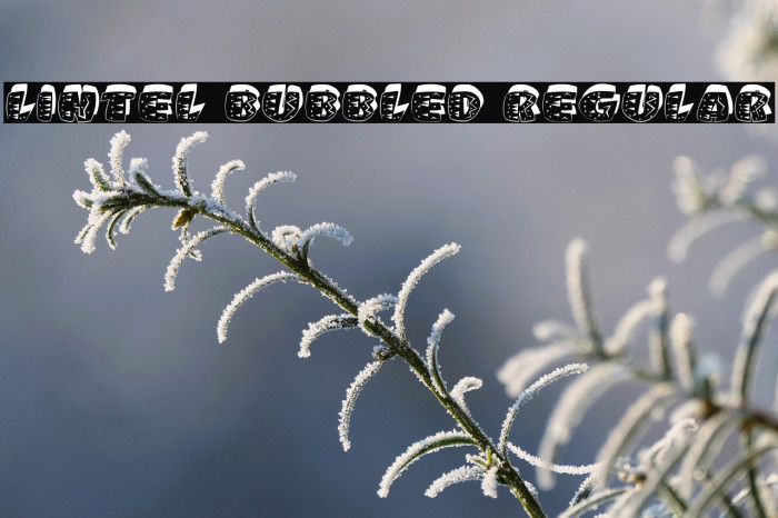 Lintel Bubbled Regular Example 3