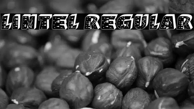 Lintel Regular Font examples