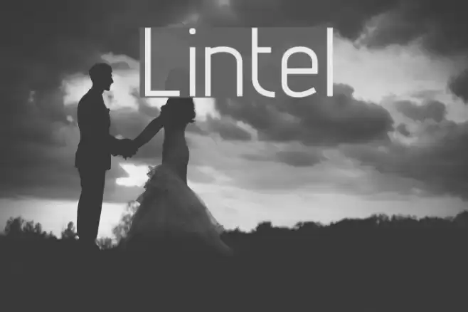 Lintel Polices examples