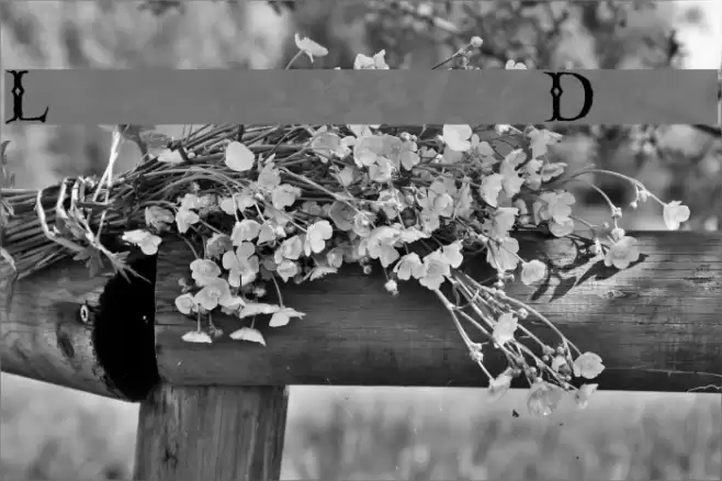 Linthicum Demo Font examples