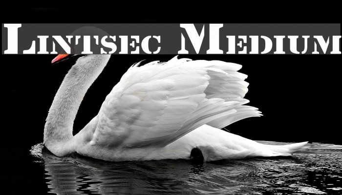 Lintsec Medium Font examples