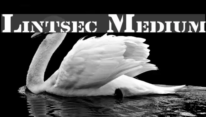 Lintsec Medium Font examples