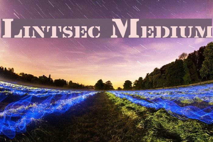 Lintsec Medium Font examples