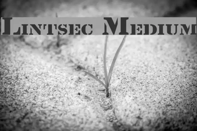Lintsec Medium Font examples