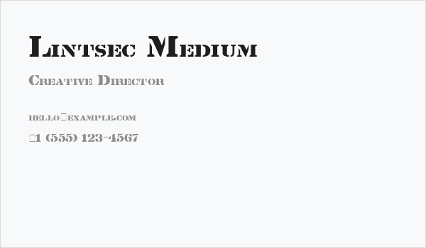 Lintsec Medium Business Card