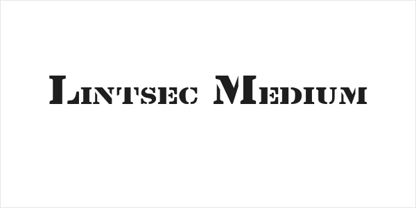 Lintsec Medium Logo