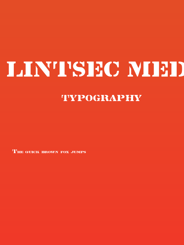 Lintsec Medium Poster