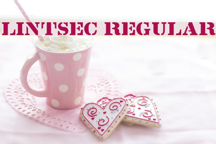 Lintsec Regular Polices examples