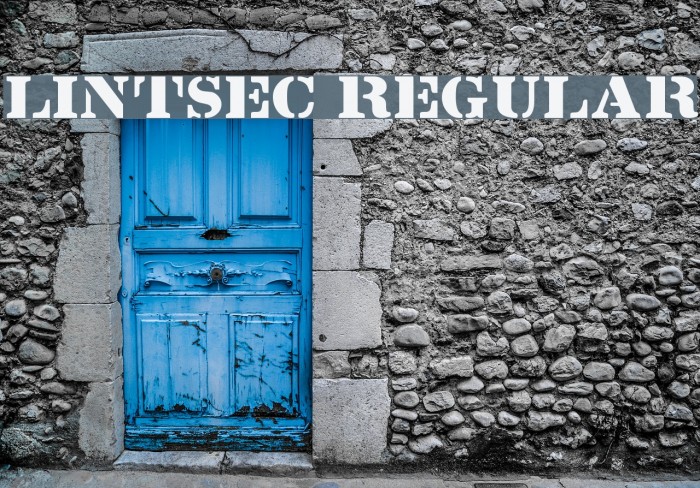 Lintsec Regular Polices examples