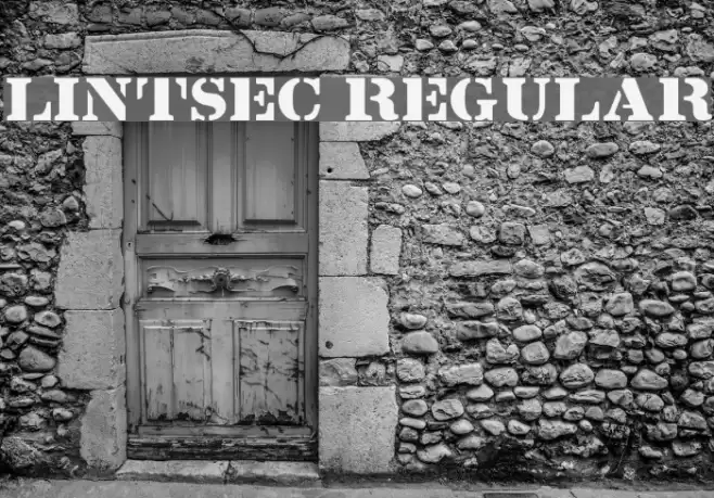 Lintsec Regular Font examples