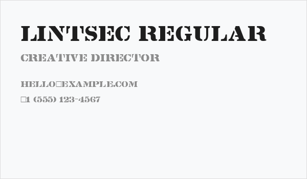 Lintsec Regular Business Card