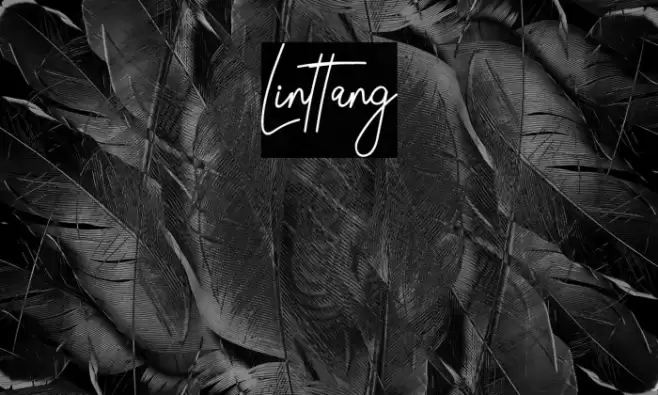 Linttang Font examples