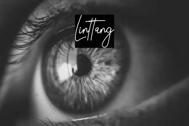 Linttang Font examples