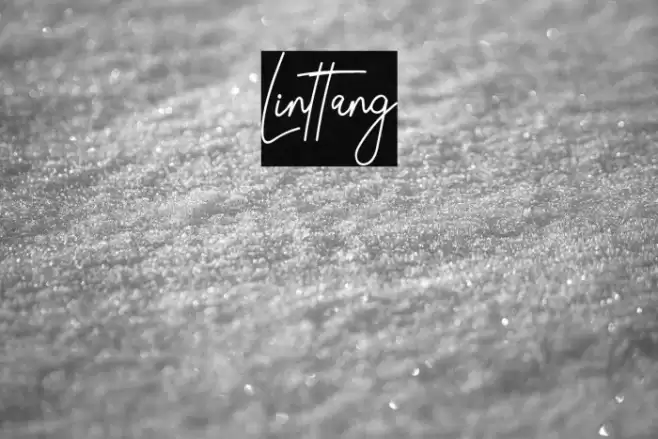 Linttang Font examples