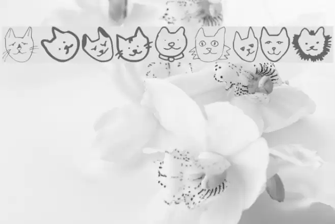 LinusFace Font examples