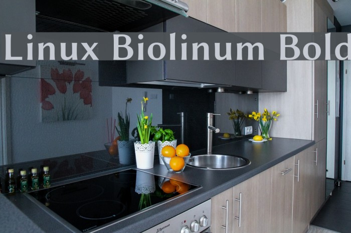 Linux Biolinum Bold Font examples