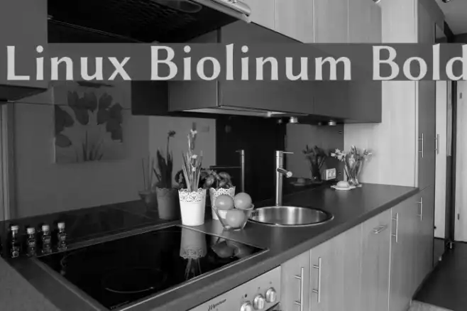 Linux Biolinum Bold Example 1