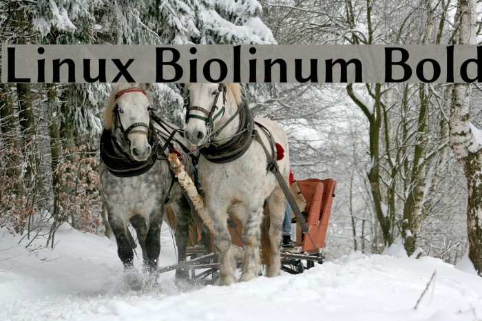 Linux Biolinum Bold Font examples