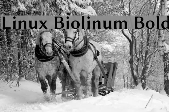 Linux Biolinum Bold Example 2