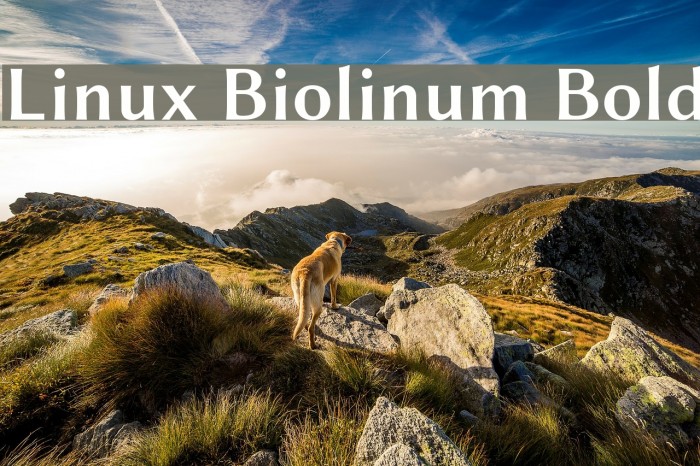 Linux Biolinum Bold Font examples