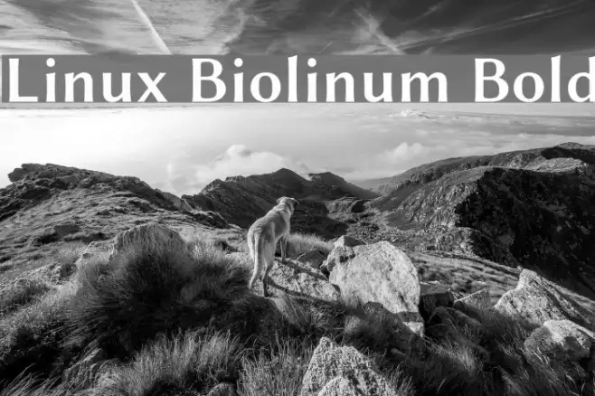 Linux Biolinum Bold Example 3