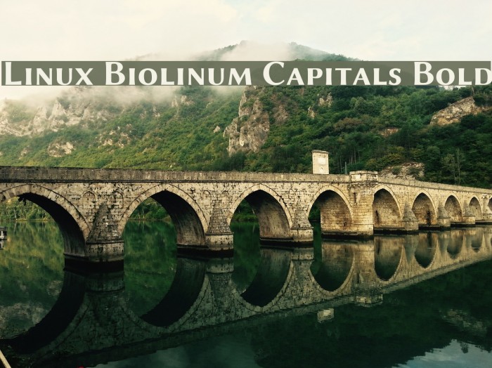 Linux Biolinum Capitals Bold Font examples