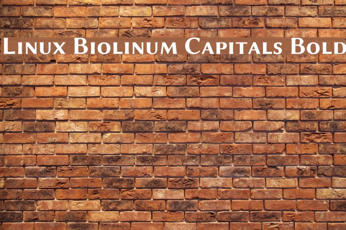 Linux Biolinum Capitals Bold Font examples
