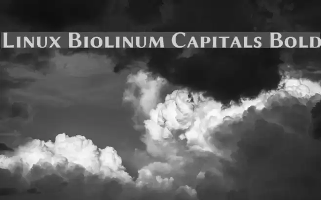 Linux Biolinum Capitals Bold Polices examples