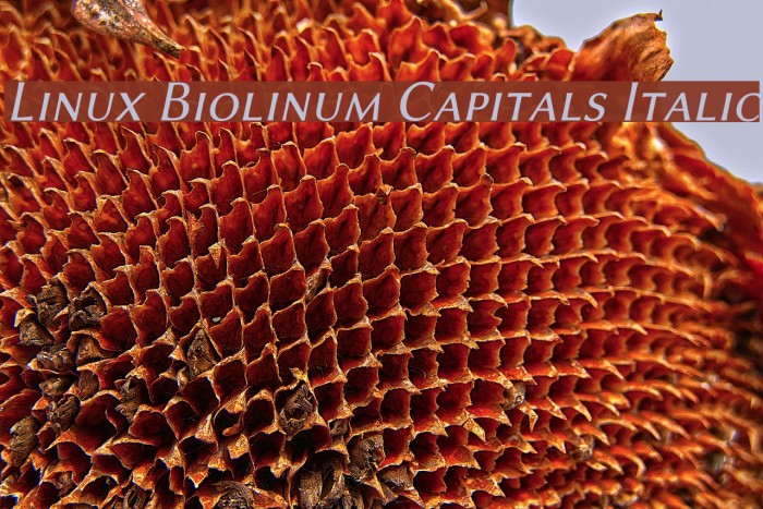 Linux Biolinum Capitals Italic Font examples