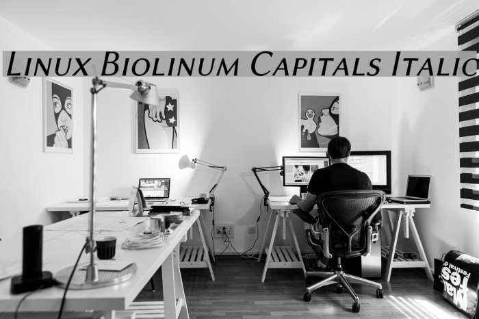 Linux Biolinum Capitals Italic Font examples