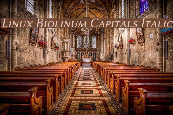 Linux Biolinum Capitals Italic Font examples