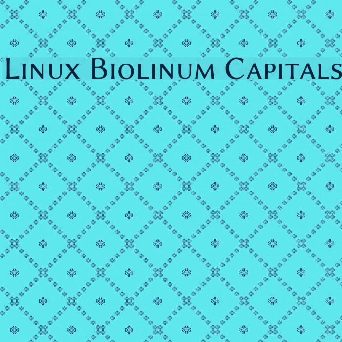 Linux Biolinum Capitals Font examples