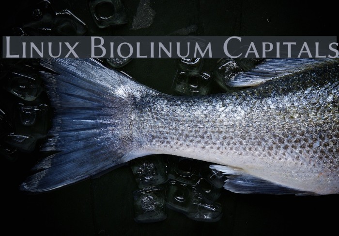 Linux Biolinum Capitals Font examples