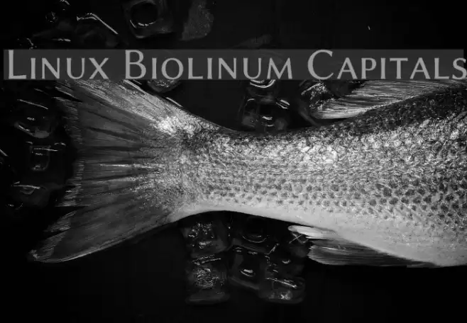 Linux Biolinum Capitals Example 2