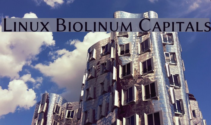 Linux Biolinum Capitals Font examples