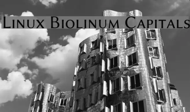 Linux Biolinum Capitals Example 3