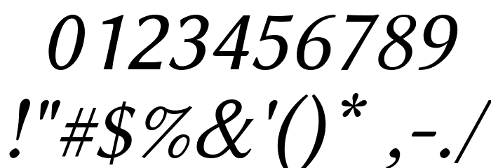 Linux Biolinum Italic Font OTHER CHARS