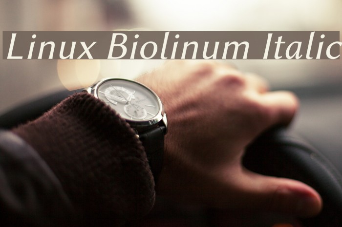 Linux Biolinum Italic Font examples