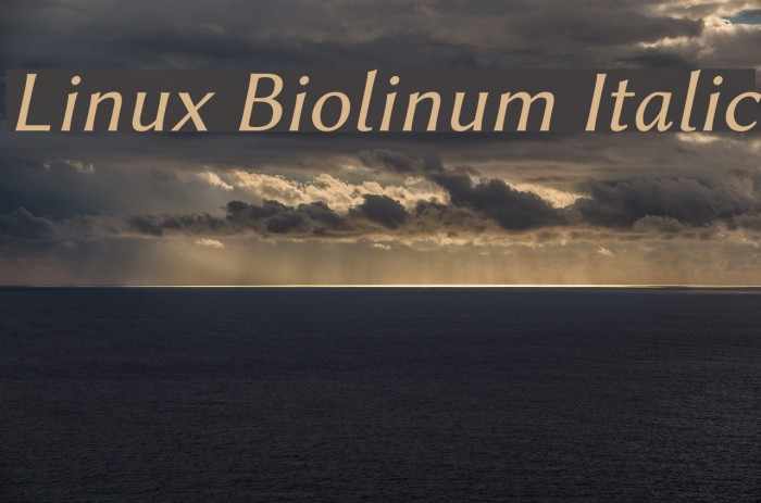 Linux Biolinum Italic Font examples