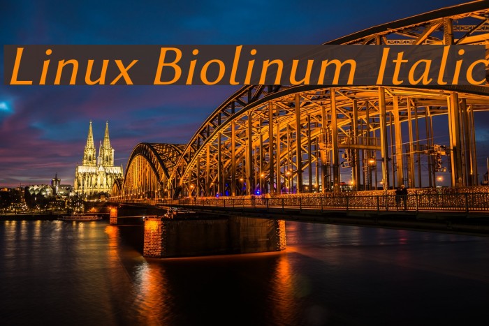 Linux Biolinum Italic Font examples